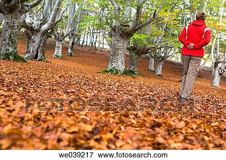 autumn, calm, back view, anorak View Large Photo Image Stock Photo - autumn, calm, back view, anorak. Fotosearch