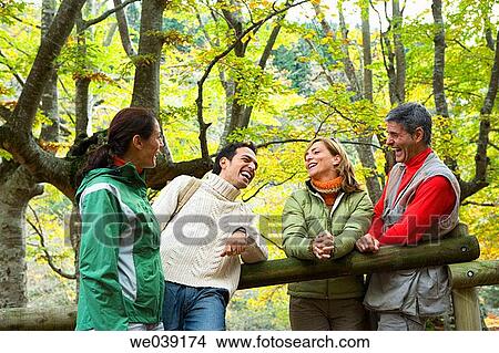 Picture - autumn, chat, amusement. Fotosearch