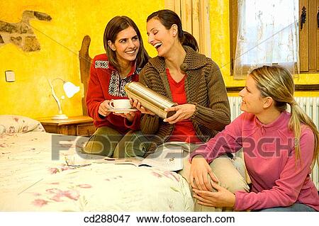 autumn, chat, bed, amusement View Large Photo Image Stock Photo - autumn, chat, bed, amusement. Fotosearch