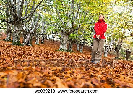 autumn, cold, anorak View Large Photo Image Stock Photo - autumn, cold, anorak. Fotosearch