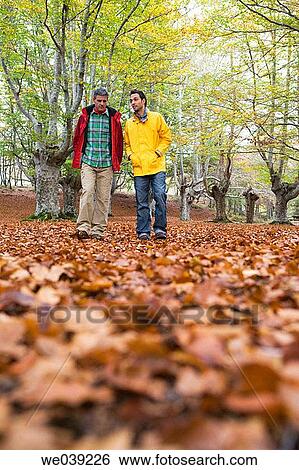 baby boomer, chat, autumn View Large Photo Image Stock Photograph - baby boomer, chat, autumn. Fotosearch