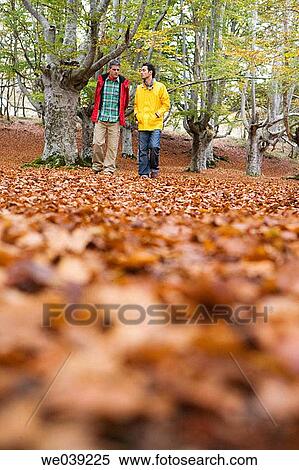 baby boomer, chat, autumn View Large Photo Image Stock Photography - baby boomer, chat, autumn. Fotosearch
