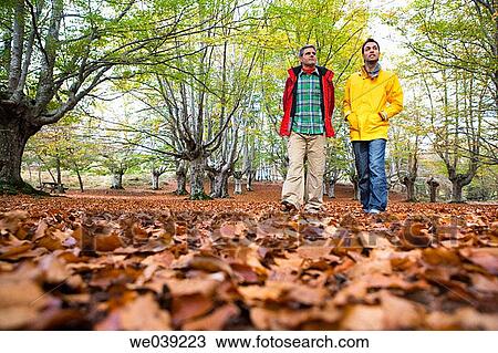 baby boomer, contemporary, autumn View Large Photo Image Stock Image - baby boomer, contemporary, autumn. Fotosearch