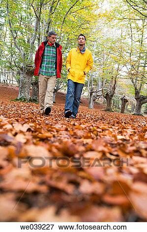 baby boomer, contemporary, autumn View Large Photo Image Stock Photo - baby boomer, contemporary, autumn. Fotosearch