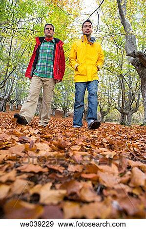 baby boomer, contemporary, autumn View Large Photo Image Stock Photo - baby boomer, contemporary, autumn. Fotosearch
