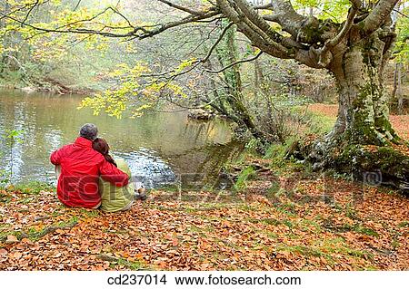 back view, calm, bonding, bond, autumn View Large Photo Image Picture - back view, calm, bonding, bond, autumn. Fotosearch