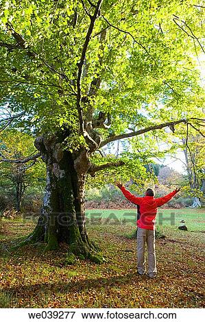 Stock Photo - back view, communion, autumn. Fotosearch