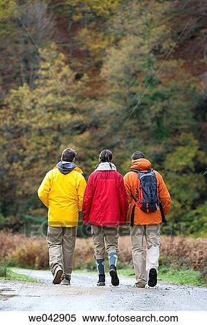 Stock Photography - back view, companion, calm, autumn. Fotosearch