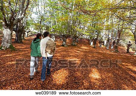 Stock Photo - back view, contemporary, autumn. Fotosearch