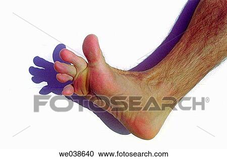 barefoot, body, Body part, contemporary View Large Photo Image Stock Image - barefoot, body, Body part, contemporary. Fotosearch