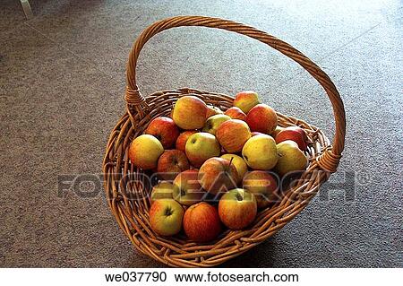Stock Image - Basket of apples. Fotosearch