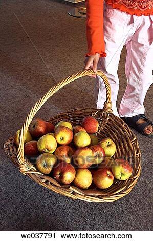 Stock Image - Basket of apples. Fotosearch