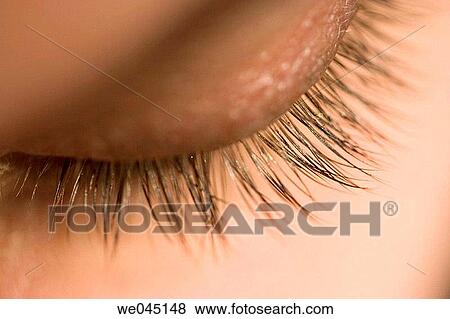 beauty, Beauty Care, carnality View Large Photo Image Stock Photo - beauty, Beauty Care, carnality. Fotosearch