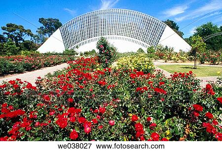 Bicentennial Conservatory in Adelaide Botanic Gardens. South Australia. View Large Photo Image Stock Photo - Bicentennial Conservatory in Adelaide Botanic Gardens. South Australia.. Fotosearch