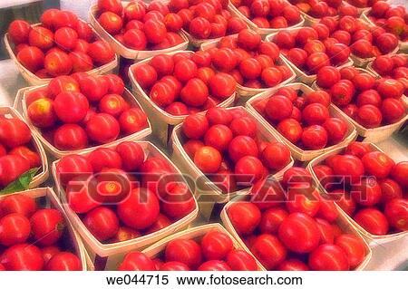 Boxed tomatoes on farmer's market. Maryland, USA, August 2004 View Large Photo Image Stock Photography - Boxed tomatoes on farmer's market. Maryland, USA, August 2004. Fotosearch