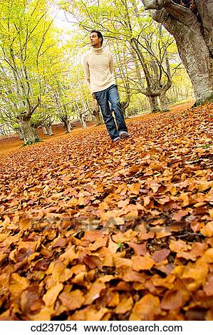 Picture - calm, autumn. Fotosearch