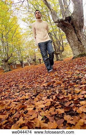 Picture - calm, autumn. Fotosearch