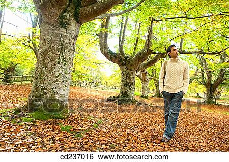 calm, autumn View Large Photo Image Stock Photograph - calm, autumn. Fotosearch
