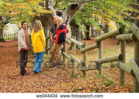 calm, chat, autumn View Large Photo Image Picture - calm, chat, autumn. Fotosearch