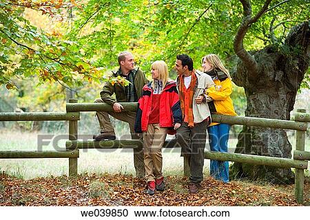 calm, chat, autumn View Large Photo Image Stock Image - calm, chat, autumn. Fotosearch