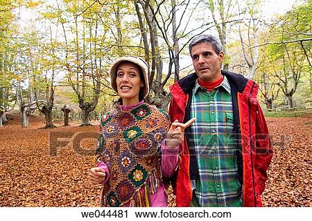 calm, chat, autumn View Large Photo Image Stock Image - calm, chat, autumn. Fotosearch
