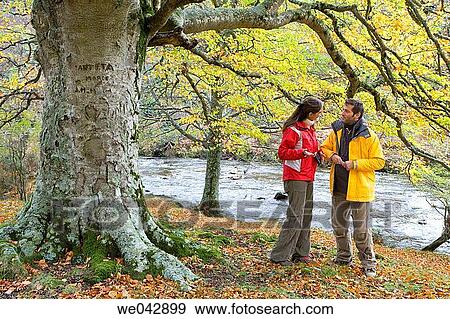 Stock Photo - calm, chat, autumn. Fotosearch