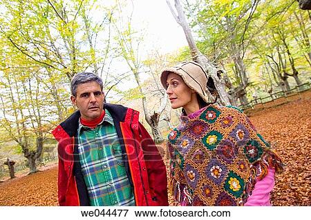 calm, chat, autumn View Large Photo Image Stock Photo - calm, chat, autumn. Fotosearch