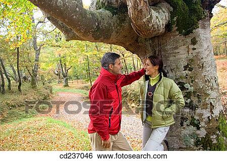 calm, chat, autumn View Large Photo Image Stock Photograph - calm, chat, autumn. Fotosearch