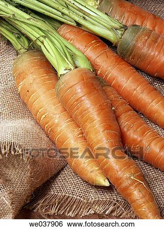 carrot, Close-up, cuisine, food, healthy View Large Photo Image Stock Photograph - carrot, Close-up, cuisine, food, healthy. Fotosearch