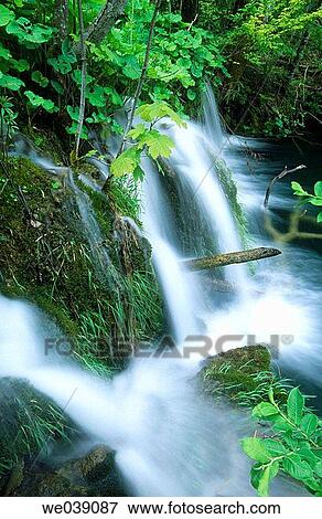 Cascades in Plitvice Lakes National Park. Croatia View Large Photo Image Stock Photo - Cascades in Plitvice Lakes National Park. Croatia. Fotosearch