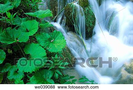 Cascades in Plitvice Lakes National Park. Croatia View Large Photo Image Stock Photo - Cascades in Plitvice Lakes National Park. Croatia. Fotosearch