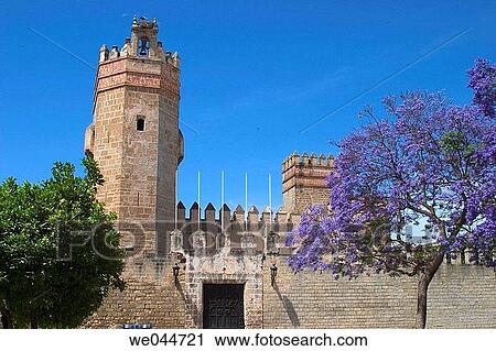 Castle of San Marcos in Plaza de Alfonso X el Sabio with Jacaranda trees at fore, El Puerto de Santa Mar? a. Cßdiz province, Andalusia, Spain View Large Photo Image Stock Image - Castle of San Marcos in Plaza de Alfonso X el Sabio with Jacaranda trees at fore, El Puerto de Santa Mar? a. Cßdiz province, Andalusia, Spain. Fotosearch