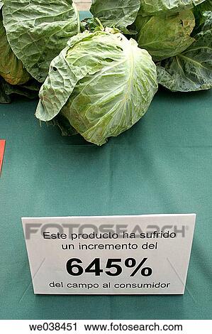 Cauliflower and farmer's protest sign against price manipulation by middlemen. Valencia, Comunidad Valenciana, Spain View Large Photo Image Stock Image - Cauliflower and farmer's protest sign against price manipulation by middlemen. Valencia, Comunidad Valenciana, Spain. Fotosearch