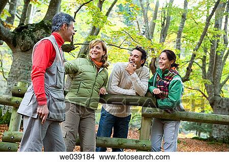 chat, autumn View Large Photo Image Picture - chat, autumn. Fotosearch