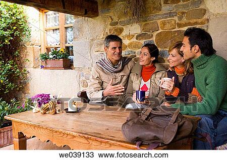 chat, autumn View Large Photo Image Stock Image - chat, autumn. Fotosearch