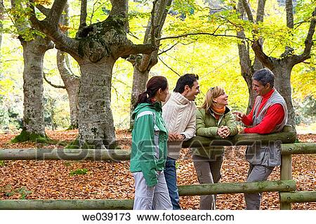 chat, autumn View Large Photo Image Stock Image - chat, autumn. Fotosearch