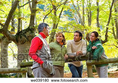 chat, autumn View Large Photo Image Stock Image - chat, autumn. Fotosearch