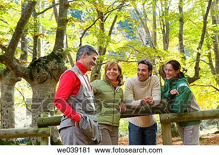 chat, autumn View Large Photo Image Stock Image - chat, autumn. Fotosearch
