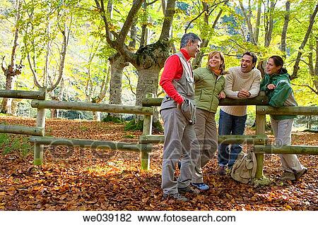 chat, autumn View Large Photo Image Stock Image - chat, autumn. Fotosearch