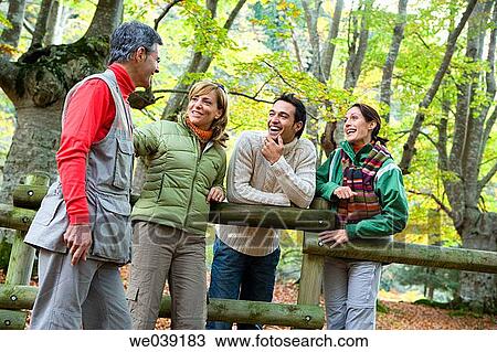 chat, autumn View Large Photo Image Stock Image - chat, autumn. Fotosearch