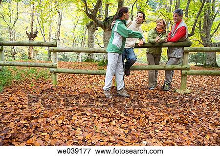 chat, autumn View Large Photo Image Stock Photo - chat, autumn. Fotosearch