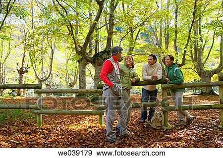 chat, autumn View Large Photo Image Stock Photo - chat, autumn. Fotosearch