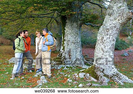 chat, autumn View Large Photo Image Stock Photo - chat, autumn. Fotosearch