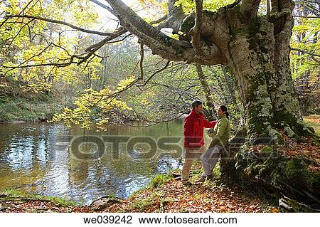 chat, contemporary, autumn View Large Photo Image Stock Image - chat, contemporary, autumn. Fotosearch