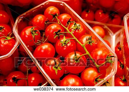 Cherry tomatoes at La Boquer? a market, Barcelona. Catalonia, Spain View Large Photo Image Picture - Cherry tomatoes at La Boquer? a market, Barcelona. Catalonia, Spain. Fotosearch