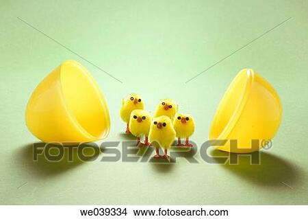 Chicks and plastic egg shells View Large Photo Image Picture - Chicks and plastic egg shells. Fotosearch