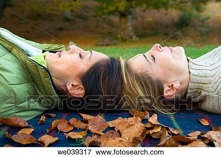 chilling out, companion, autumn View Large Photo Image Stock Photo - chilling out, companion, autumn. Fotosearch