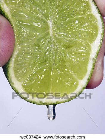 Citrus fruit, Close-up, drop, droplet View Large Photo Image Picture - Citrus fruit, Close-up, drop, droplet. Fotosearch