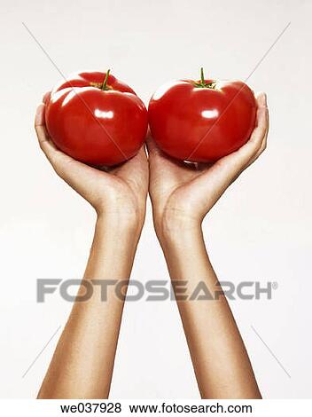 Close-up, cuisine, Female, food View Large Photo Image Stock Photo - Close-up, cuisine, Female, food. Fotosearch