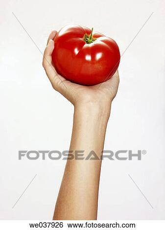 Close-up, cuisine, Female, food View Large Photo Image Stock Photograph - Close-up, cuisine, Female, food. Fotosearch